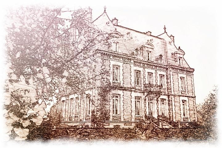 Domaine Du Chateau De Bourville Bermonville Exterior photo